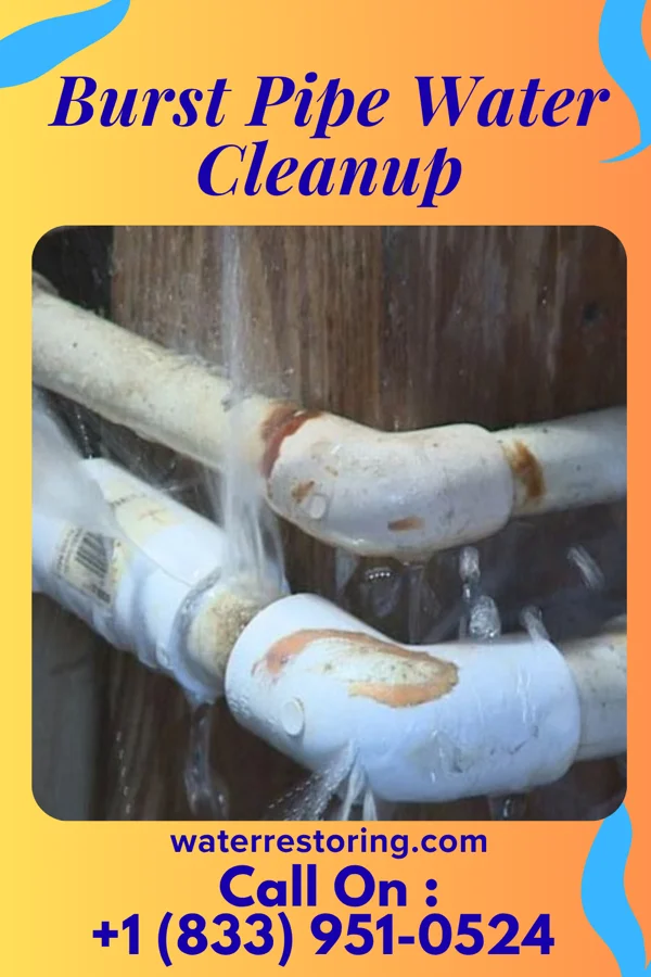 Burst Pipe Water Cleanup in Marietta, OH