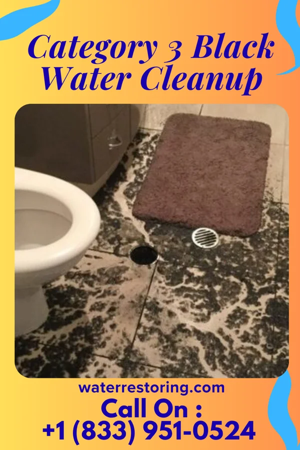 Category 3 Black Water Cleanup in Marietta, OH