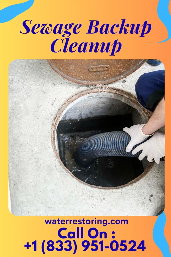 Sewage Backup Cleanup in Marietta, OH